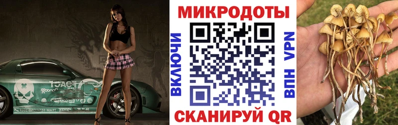 Галлюциногенные грибы мухоморы  Меленки 